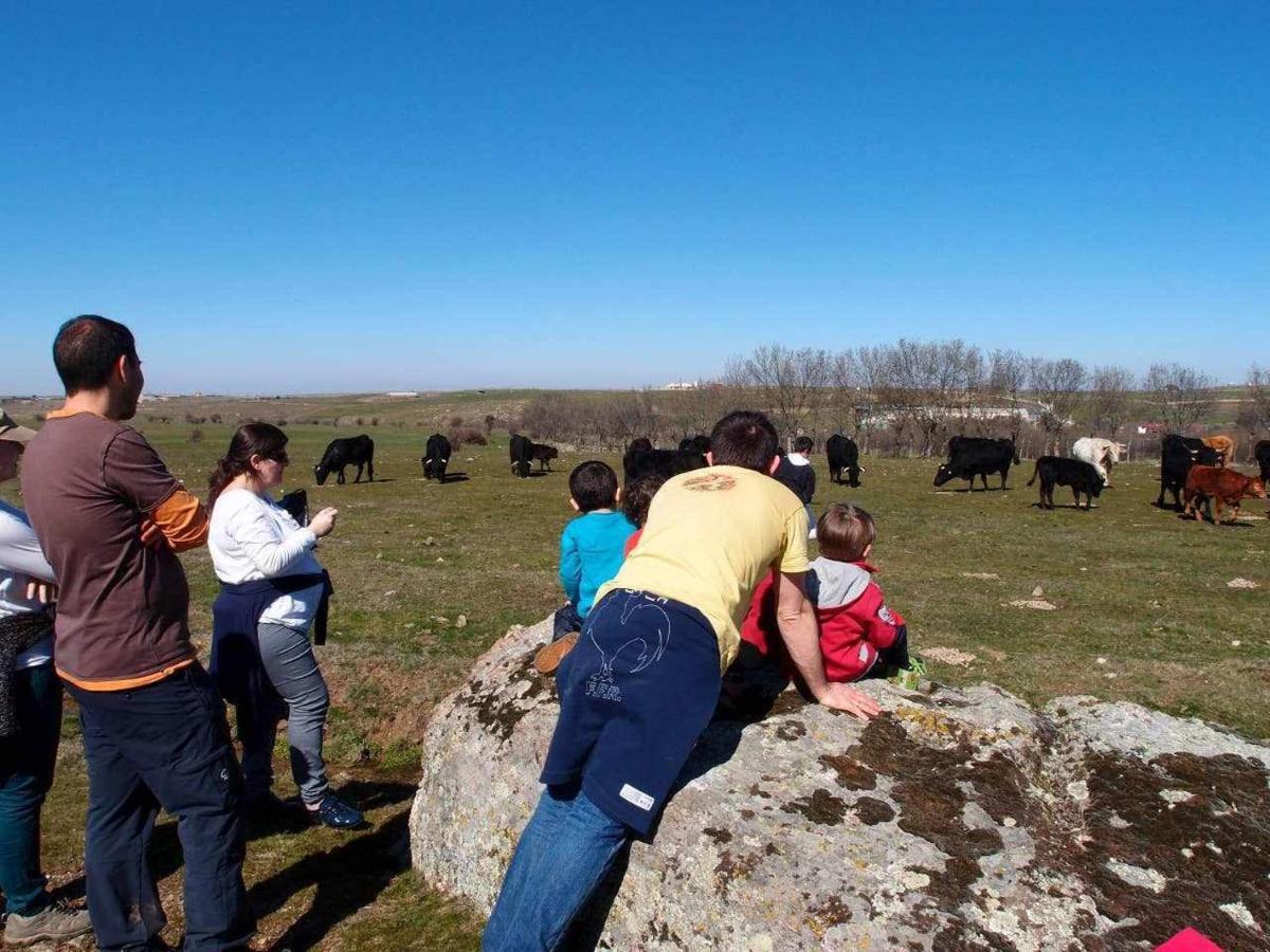 Agroturismo El Mirador De La Cigueena Cabanillas del Monte Exteriér fotografie