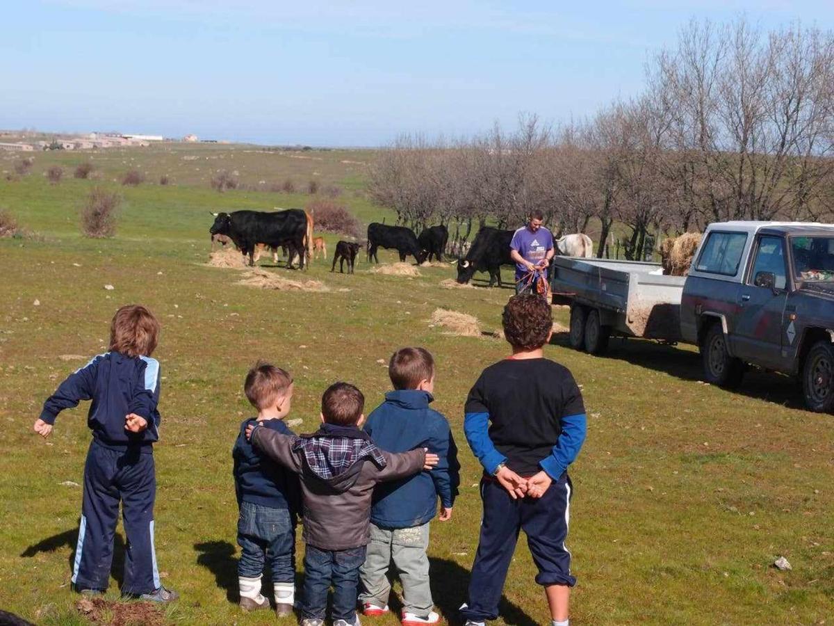 Agroturismo El Mirador De La Cigueena Cabanillas del Monte Exteriér fotografie