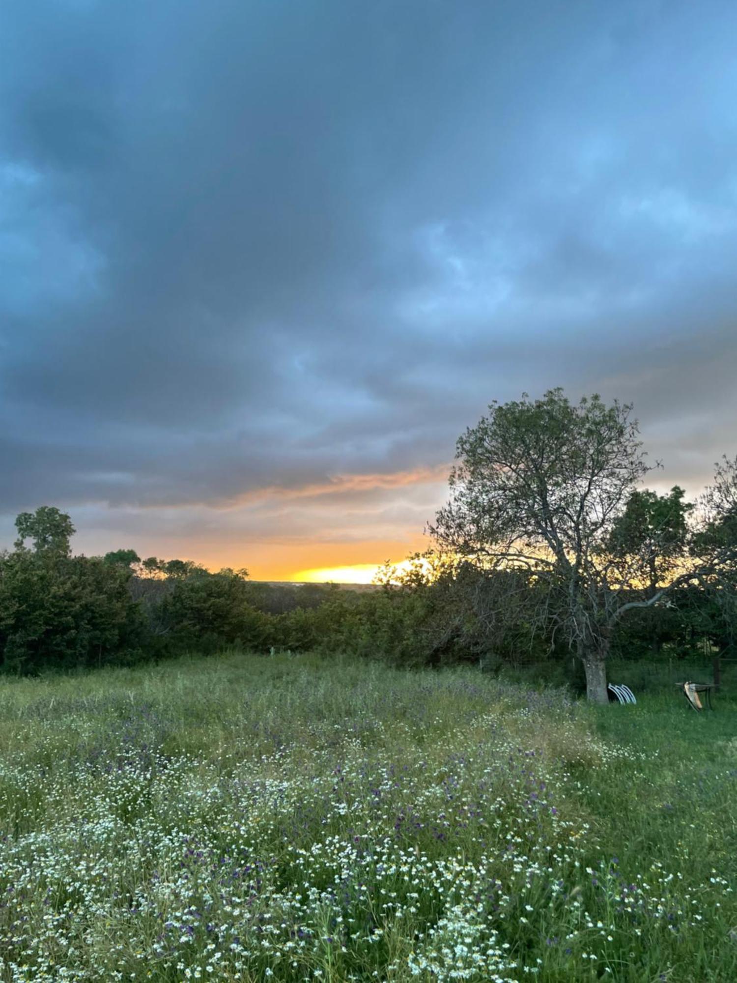 Agroturismo El Mirador De La Cigueena Cabanillas del Monte Exteriér fotografie